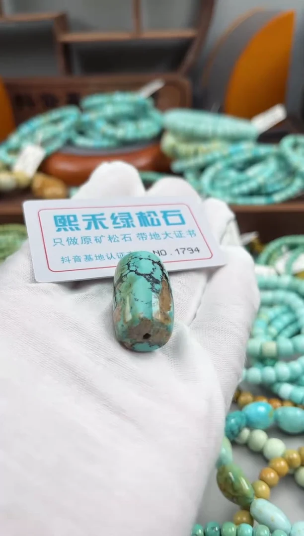 绿松石未镶嵌松石1794