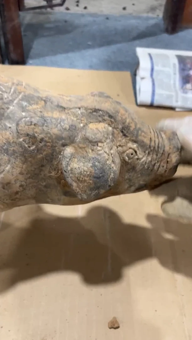 瓷片手工，手绘，瓷器