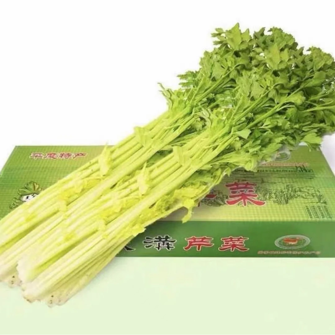 山东特产空心芹菜马家沟芹菜 美味健康大叶芹玻璃脆蔬菜