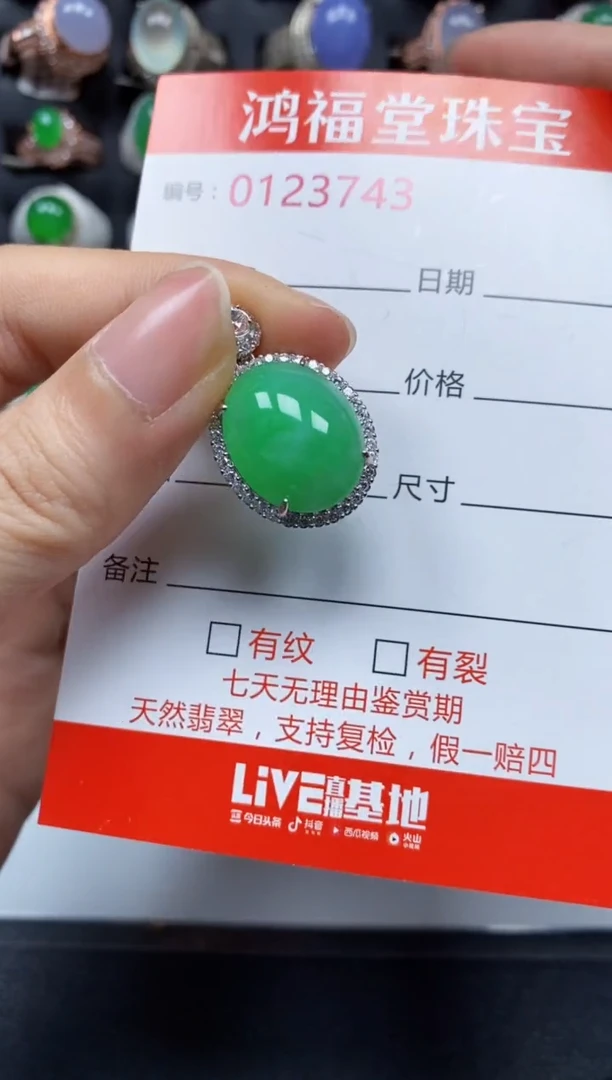 颈饰银S925镶嵌翡翠3743