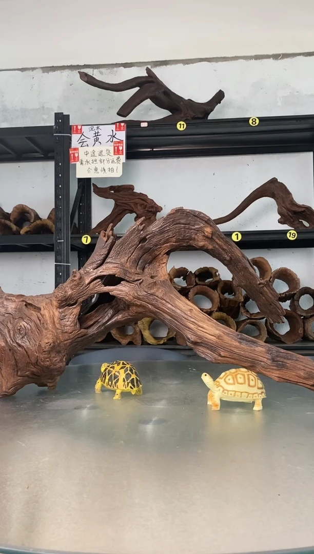 ?****下鱼缸爬宠造景素材453