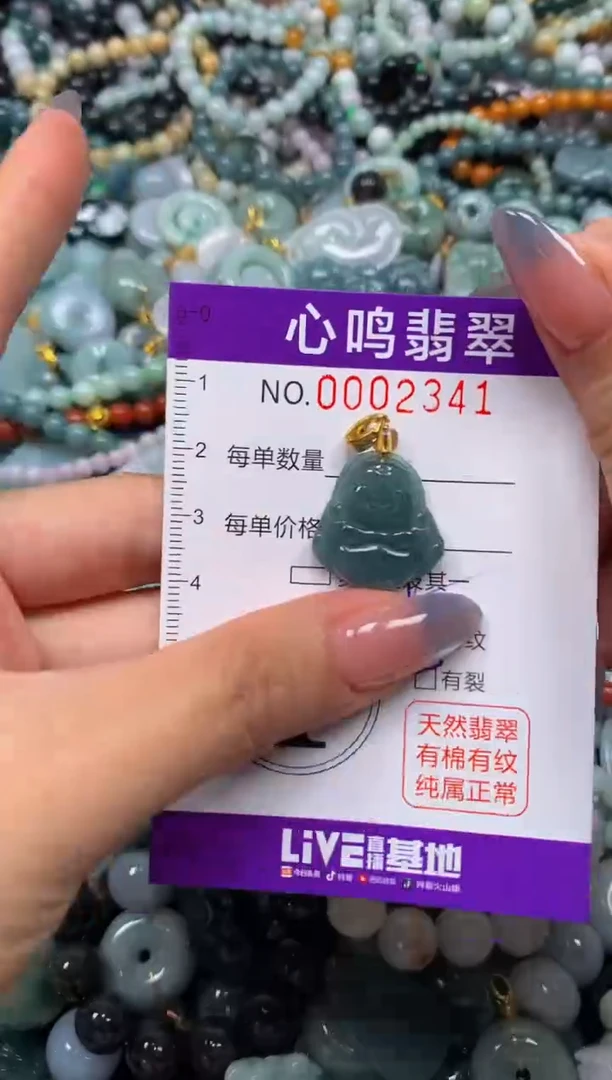 颈饰未镶嵌翡翠闪购002341
