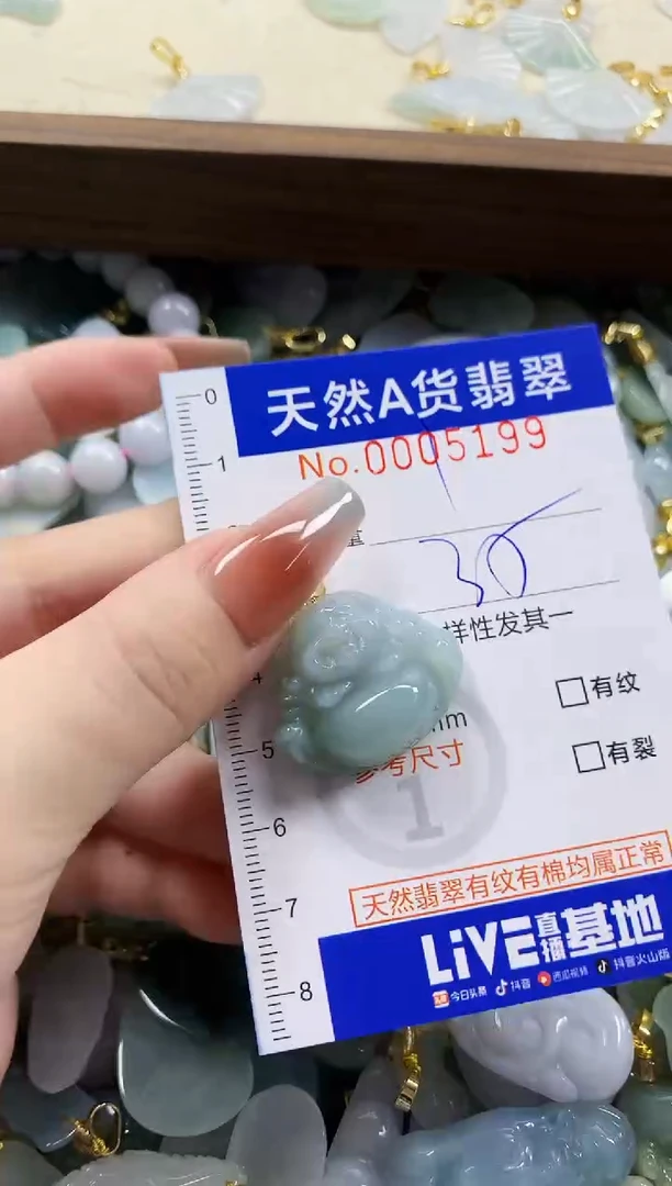 颈饰未镶嵌翡翠天然A货翡翠