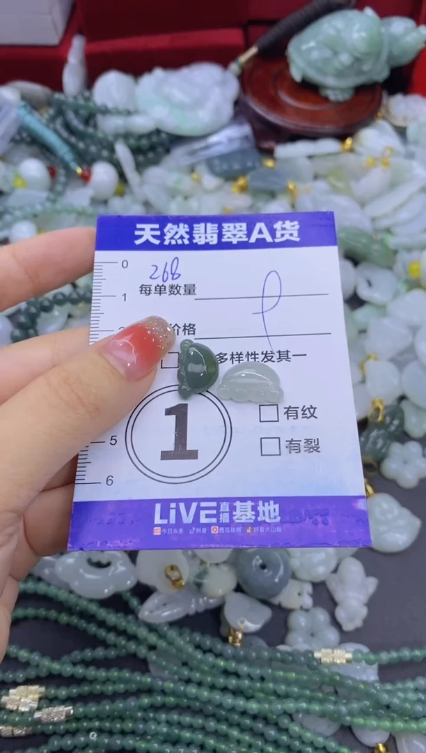 颈饰未镶嵌翡翠天然翡翠A货批量多样性发一件