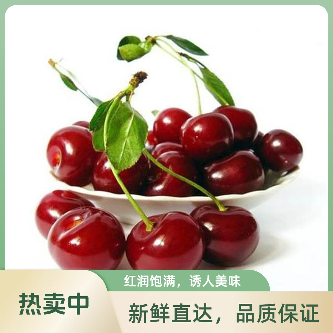 【大唐新春福利.拍一发二】单J车厘子约500g