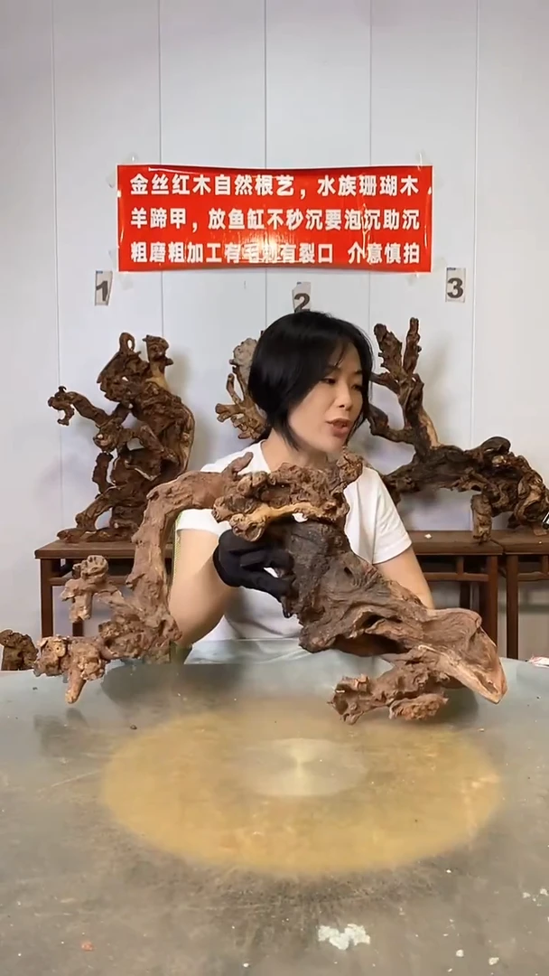 香榧木林***玉金丝红木   羊蹄甲