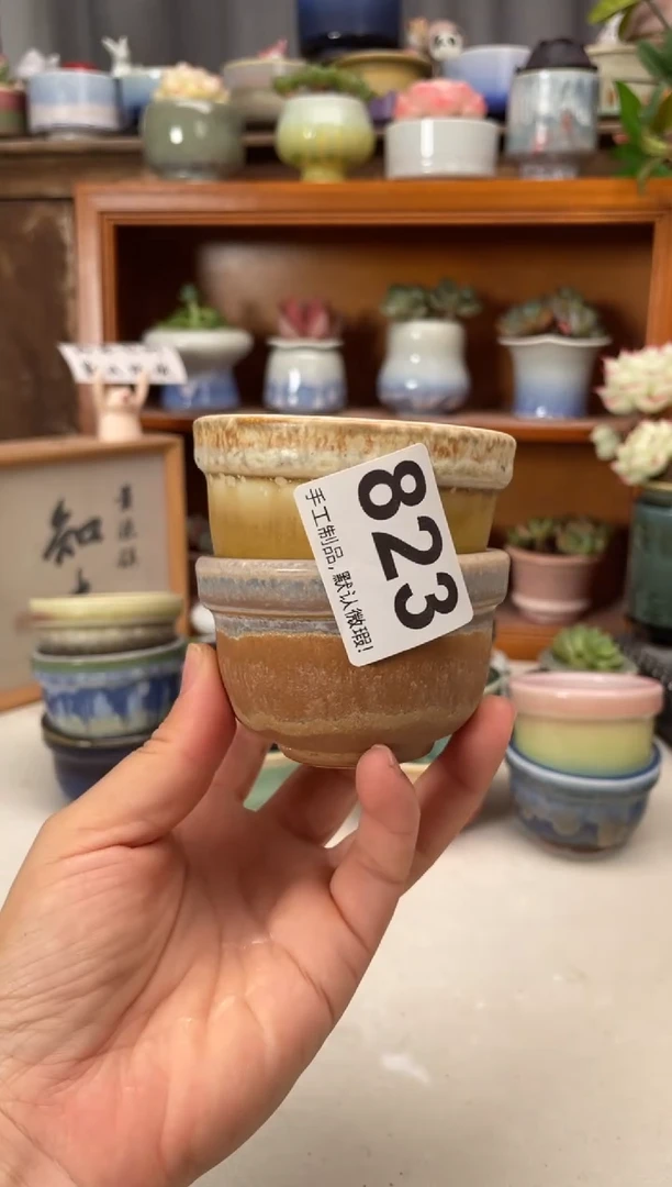 瓷片向***a823知木小芳花盆
