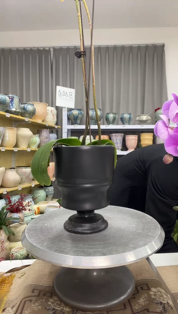 【1.4】花盆尺寸 高：17  口：12