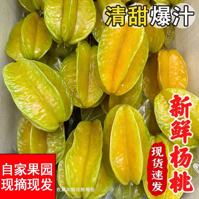 广东茂名香蜜杨桃新鲜现摘五敛子下火脆甜多汁孕妇解馋当季水果