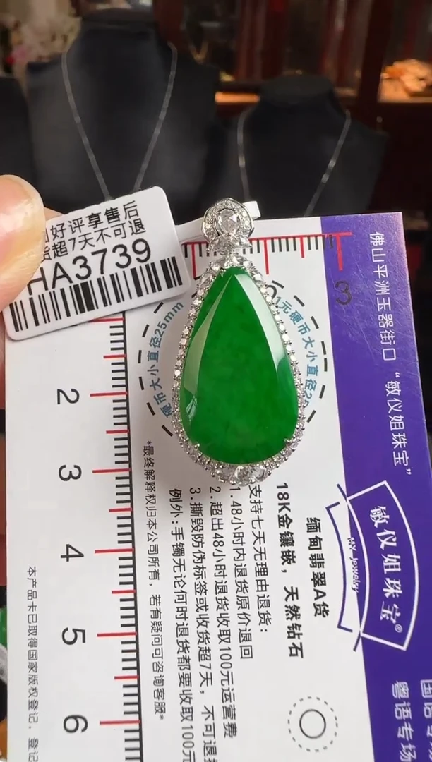 颈饰18K金镶嵌翡翠HA3739冰绿滴水