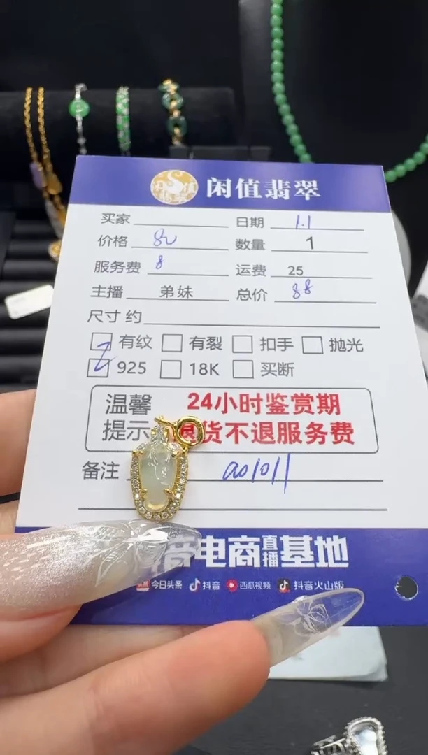 颈饰银S925镶嵌翡翠FCDZ