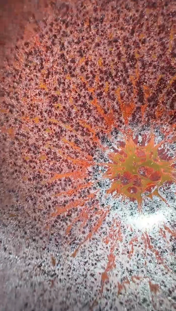茶盏赵丽美高端收藏14