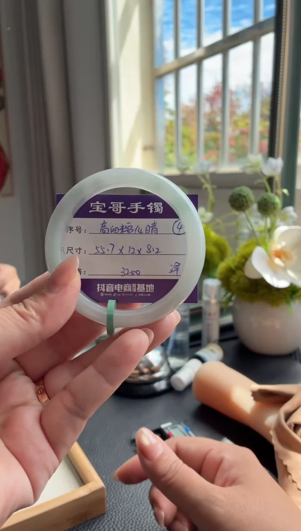 未镶嵌手镯翡翠翡翠手镯 4
