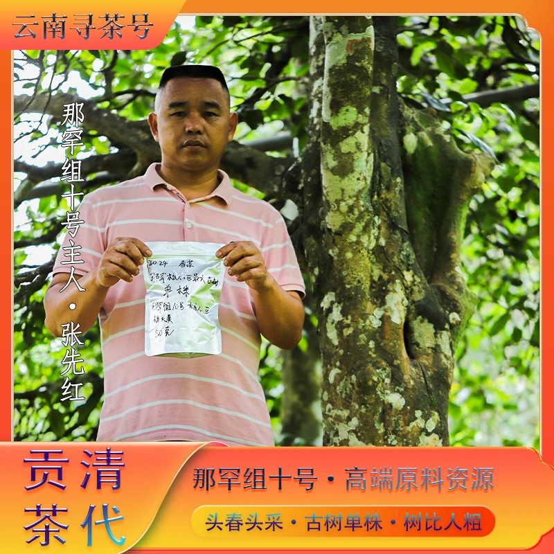 S1/藏/2024年春茶最大古树单株/那罕组10号清贡核心区/8克*2泡/份
