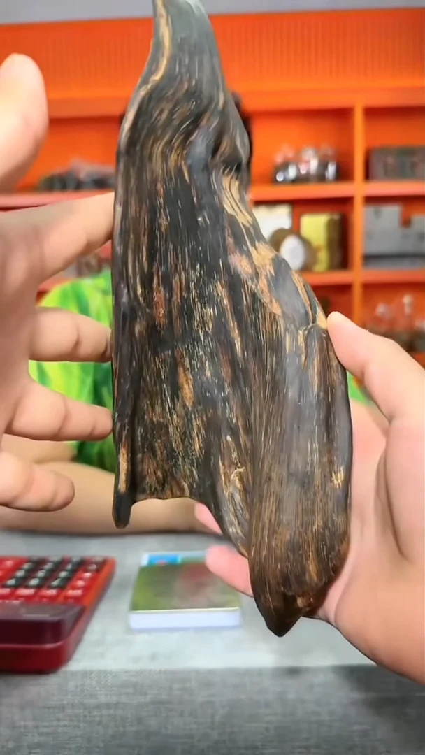 沉香摆件199号原材395g多样性发一