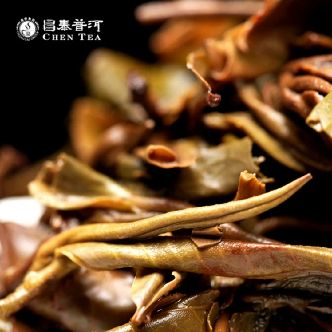 掌中宝紫砂【普洱生茶】