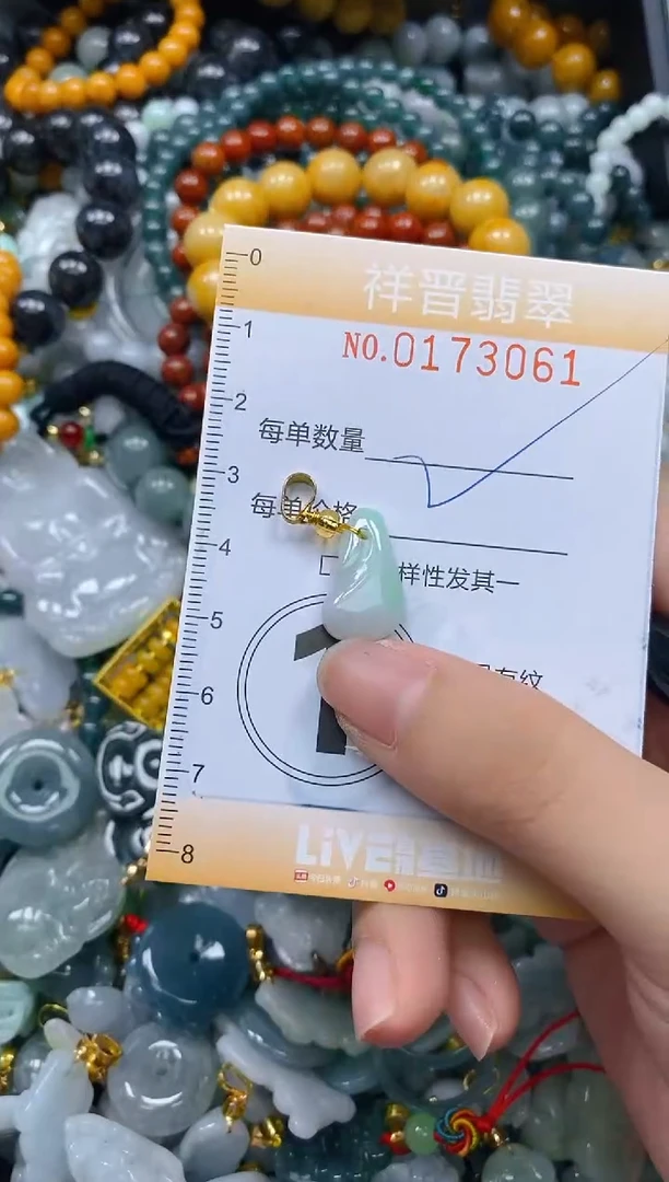 翡翠未镶嵌颈饰闪购0173061