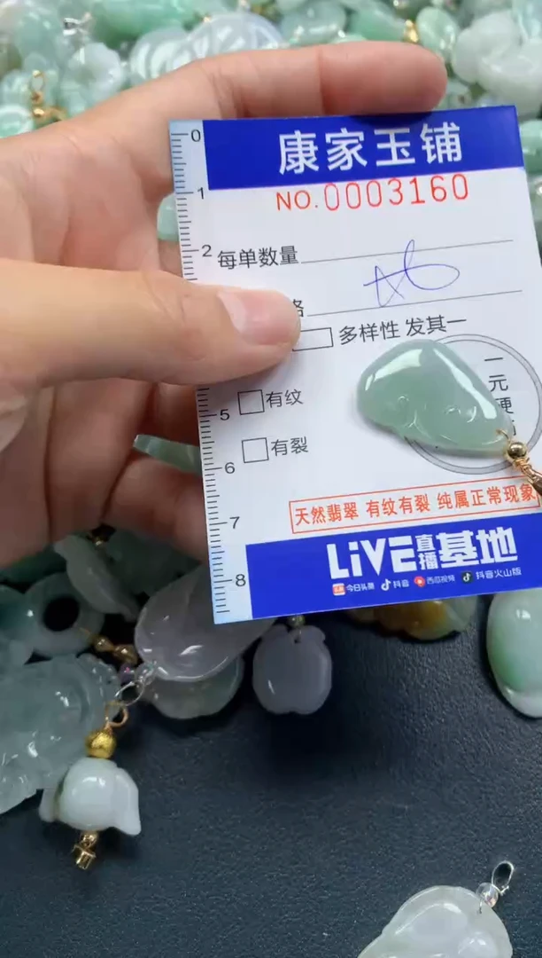 颈饰未镶嵌翡翠3160