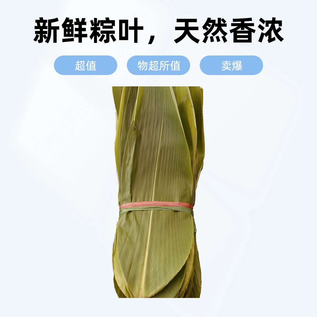 江西德兴天然粽叶