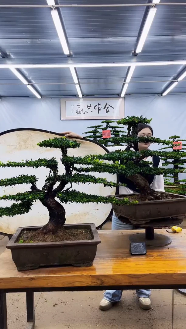无花朵一物一拍，所见即所得