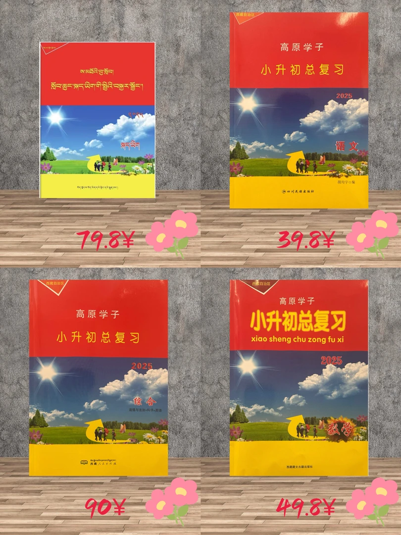 小升初总复习学习资料