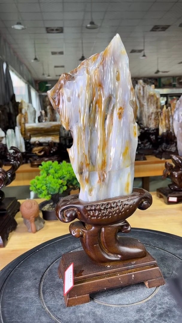 硅化玉珠宝奇石未镶嵌450