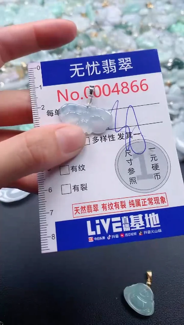 吊坠(不含链)未镶嵌翡翠4866