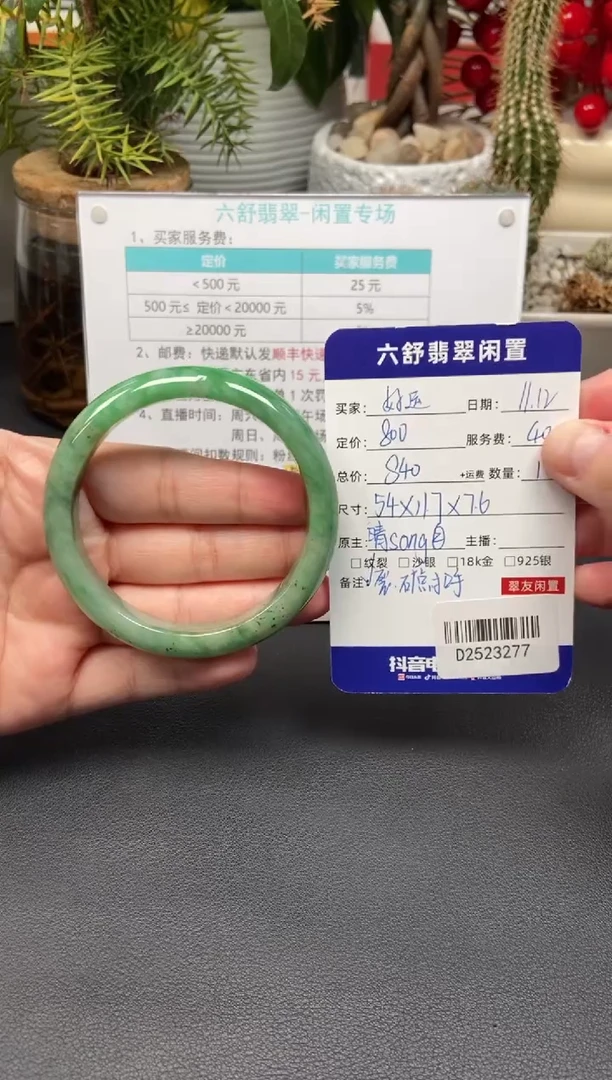 未镶嵌手镯翡翠D2523277