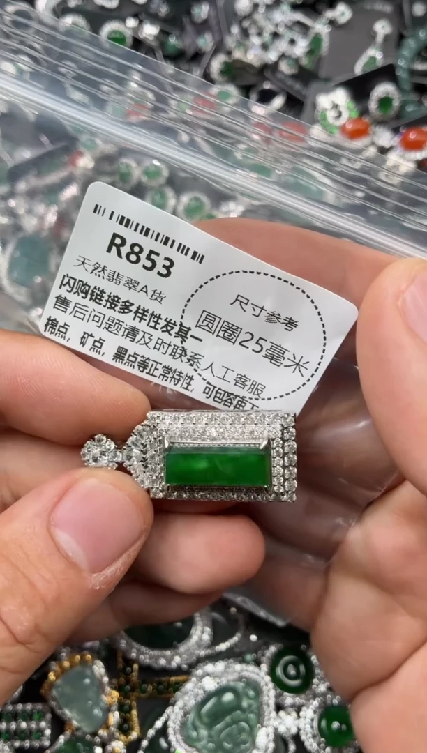 翡翠未镶嵌颈饰R853吊坠