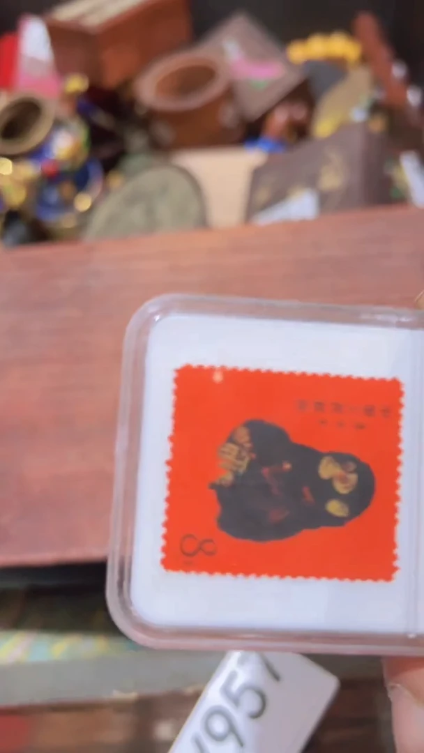 【闪购商品】瓷片主播推荐精选好物