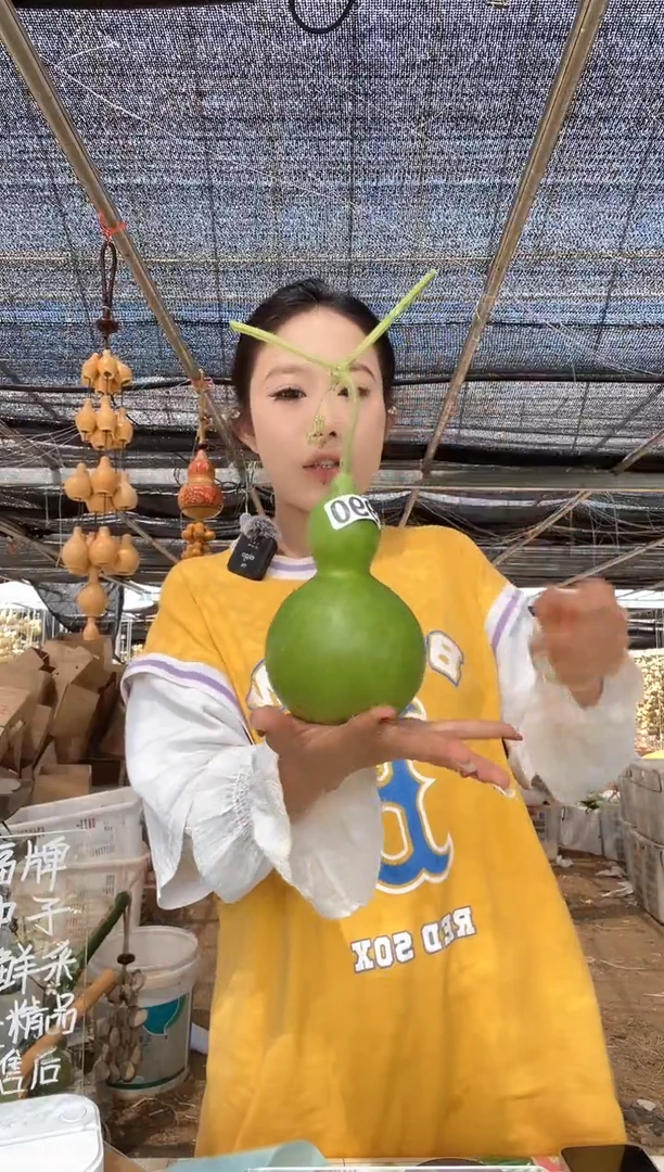 990天然葫芦摆件 一物一拍龙头不保售后