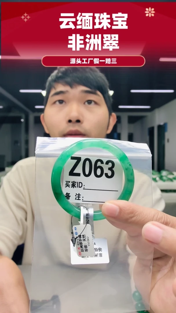 未镶嵌手镯石英质玉（非洲翠）54圈口Z063