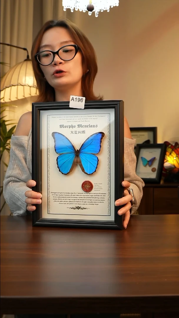 大蓝闪蝶-英文（A4欧式黑框）