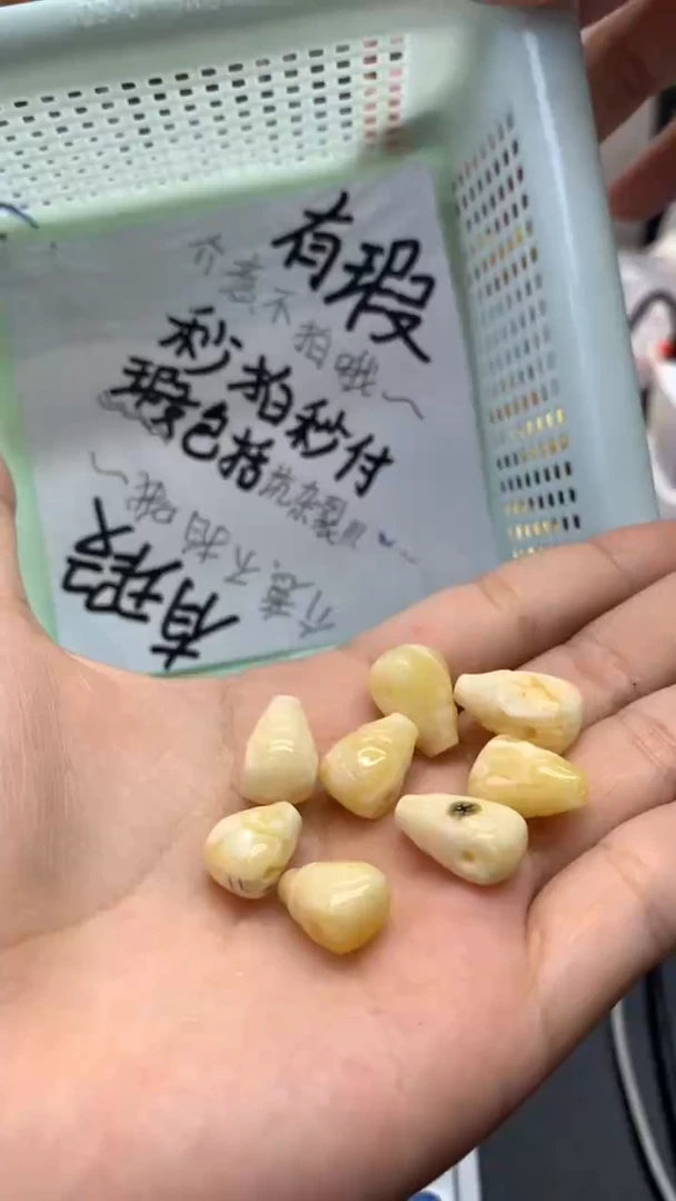 【闪购商品】琥珀珠宝奇石未镶嵌147多样性发其一