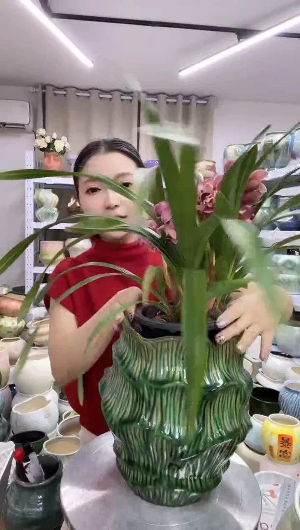 【11.22】直播链接  高度:   25.5 口径:   15.5