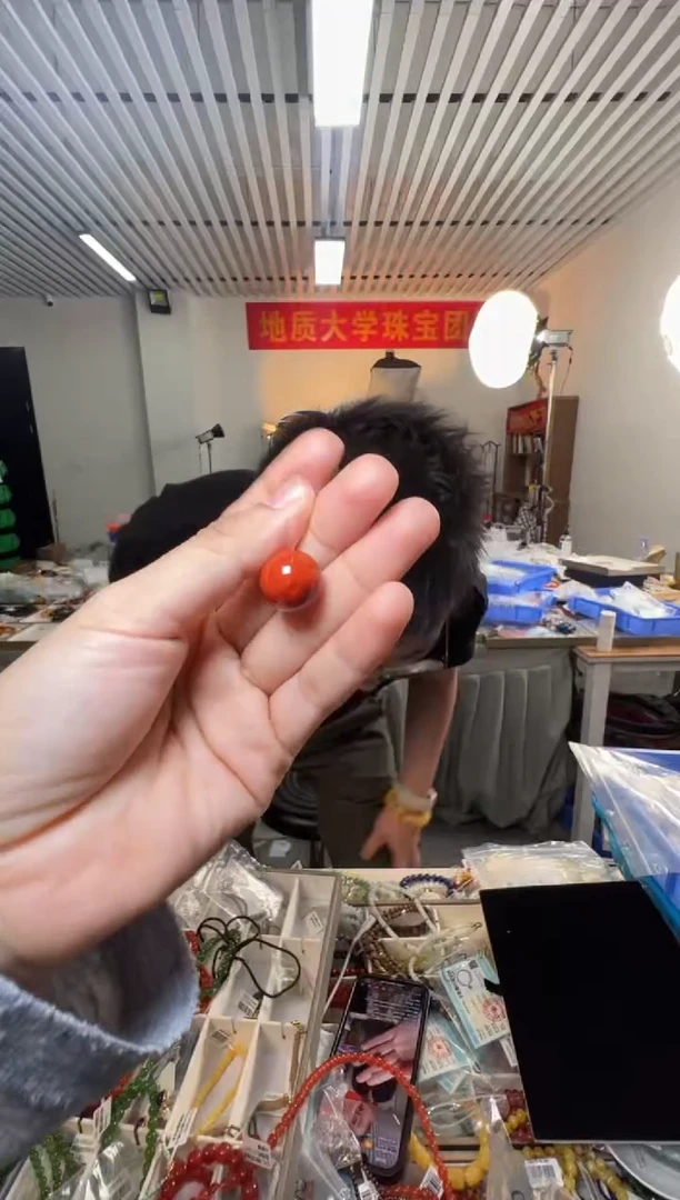 颈饰未镶嵌南红玛瑙DYL-南红圆珠单圈