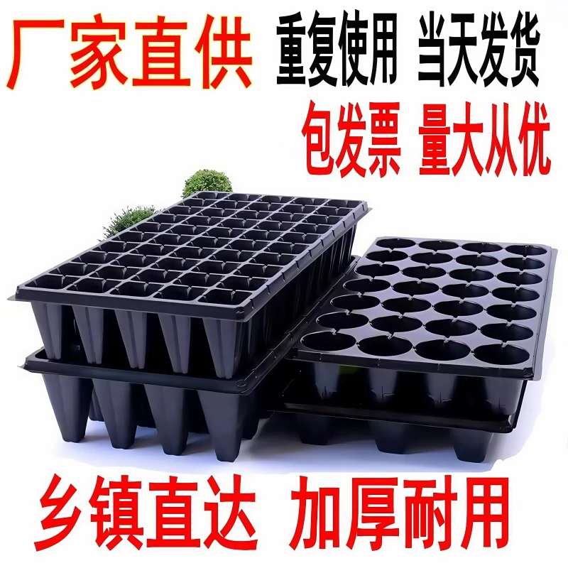 穴盘育苗盘林木加深育苗盘苗木多肉塑料杯种植营养钵蔬菜托盘秧盘