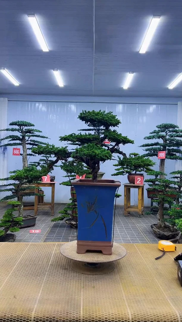 00000000000000000000000