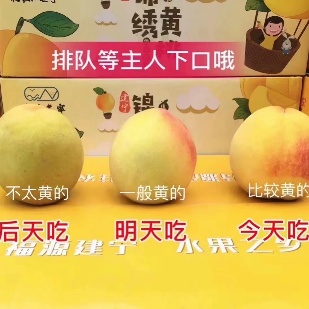 【顺丰快递】建宁黄桃新鲜应季水果5/10斤礼盒硬脆桃现摘锦绣黄桃