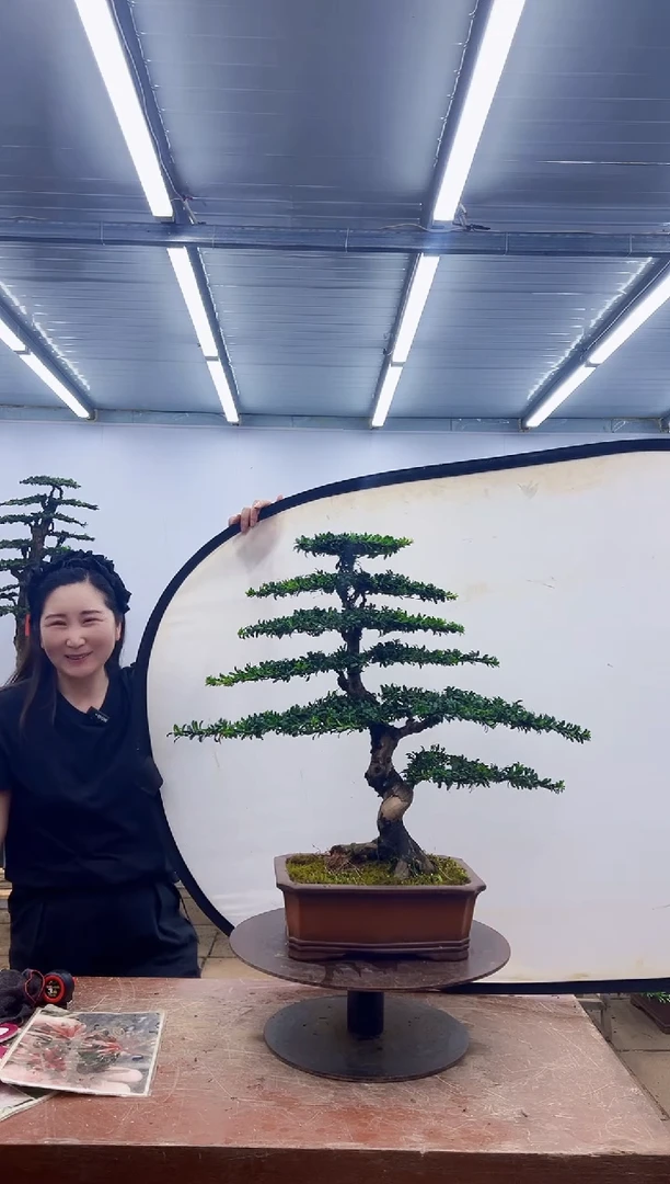 无花朵一物一拍，所见即所得