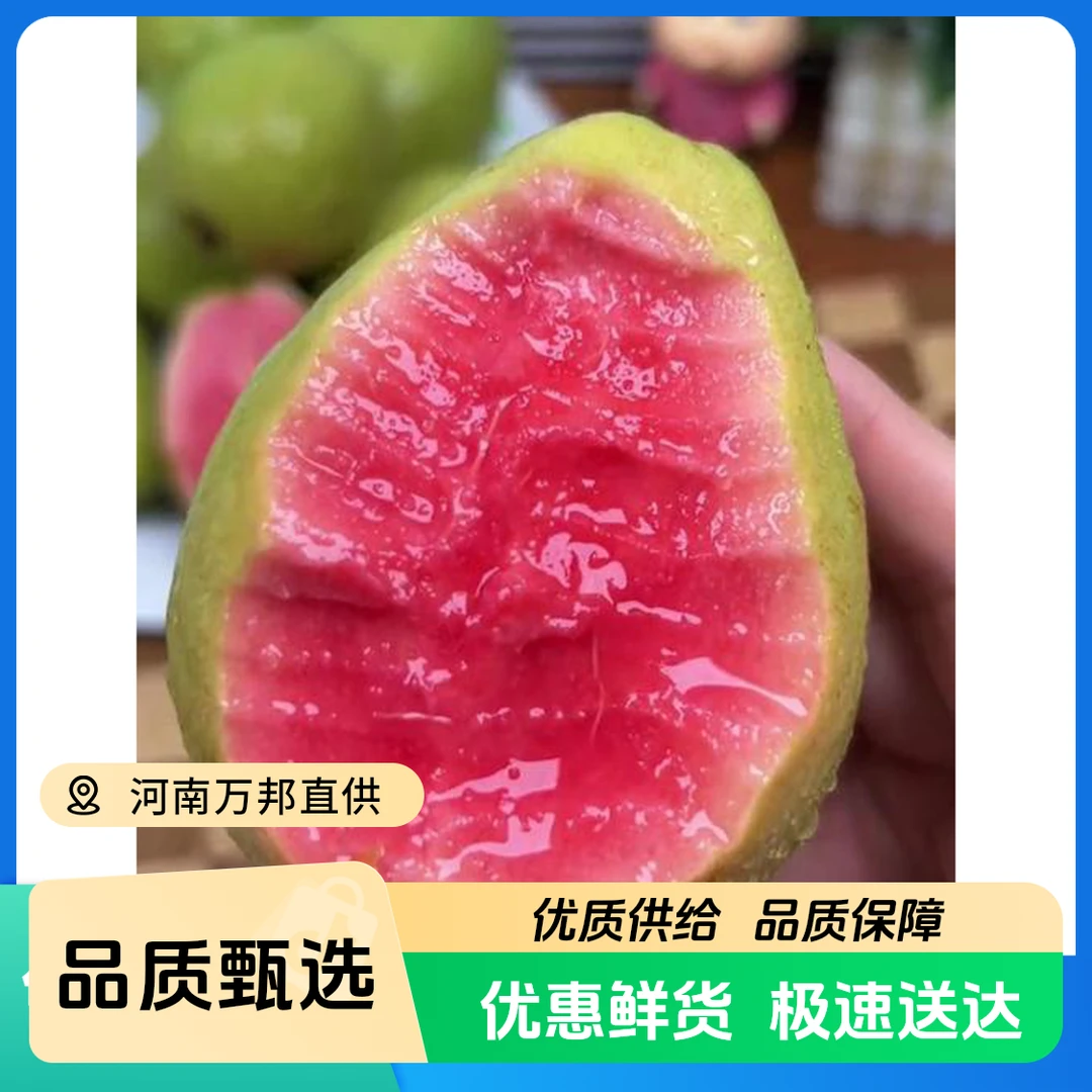 【顺丰包邮】红心芭乐红心番石榴新鲜水果红肉芭乐果红芭乐软糯香甜福建省