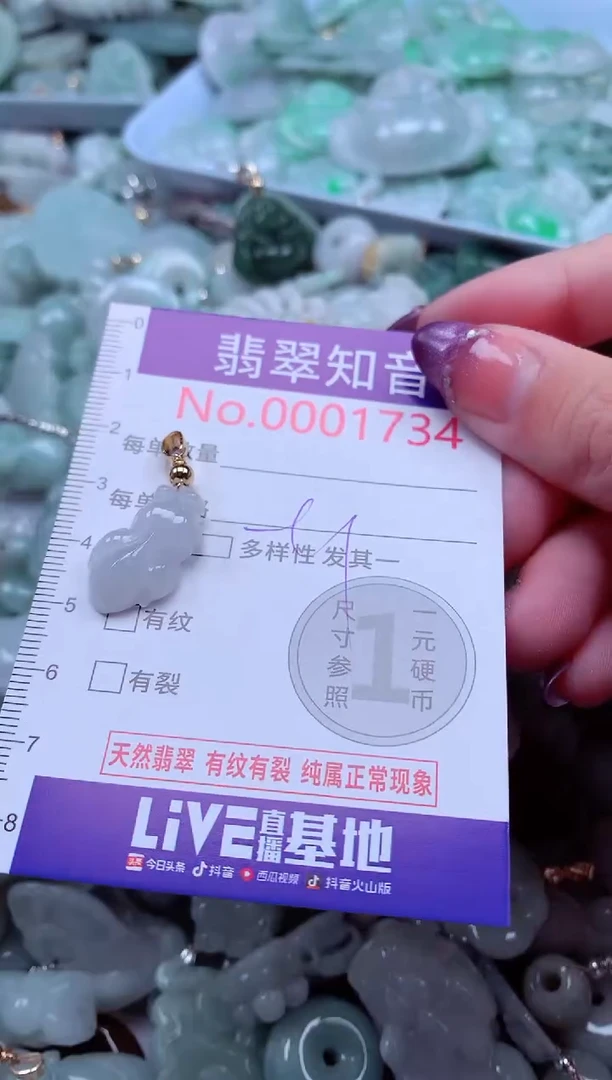 翡翠未镶嵌吊坠(不含链)1734