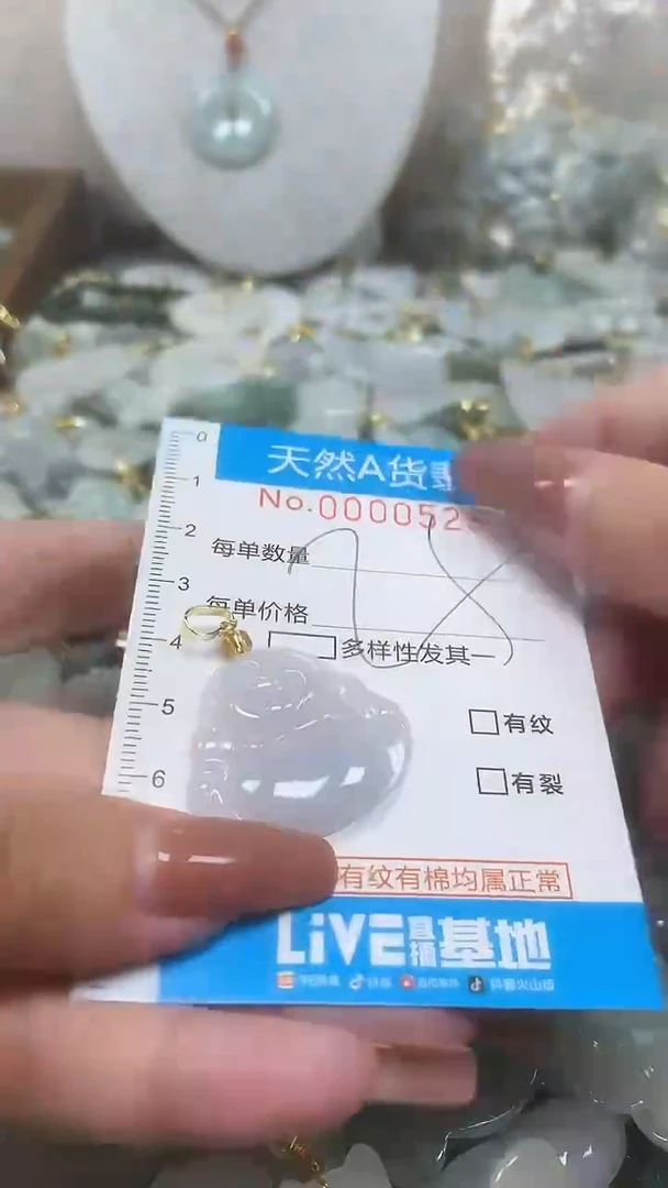 翡翠未镶嵌颈饰净货挂件-0528