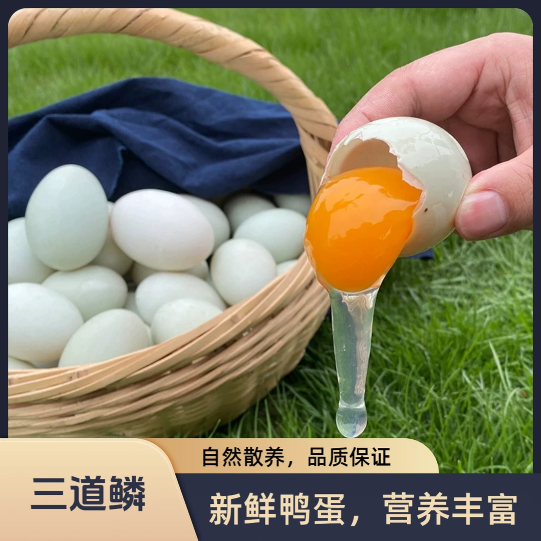 三道鳞土货30枚现捡四川农村土鸭蛋南充市小桥镇正宗农家粮食散养