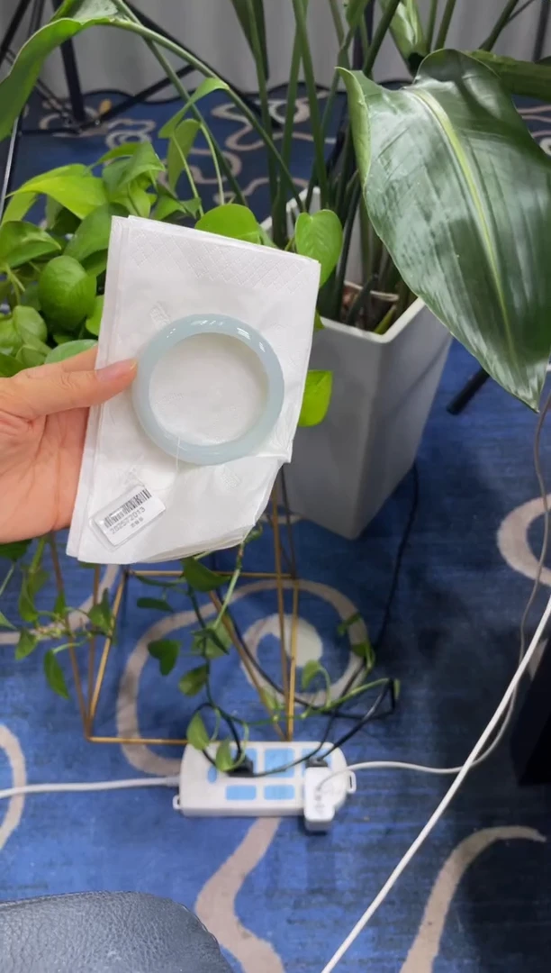 未镶嵌手镯翡翠00006850