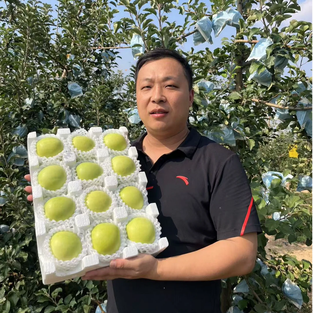 瑞雪苹果脆甜多汁香味浓郁原产地新鲜水果礼盒送礼佳选3.6-8.5斤