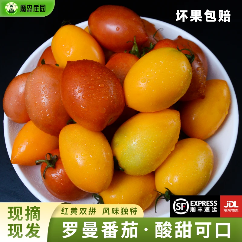 【顺丰/京东包邮】沙瓢红黄罗曼口感西红柿低卡低热量番茄孕妇水果