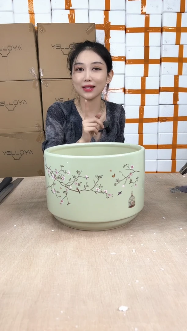 蝴蝶兰鸟笼绿色大号25x18