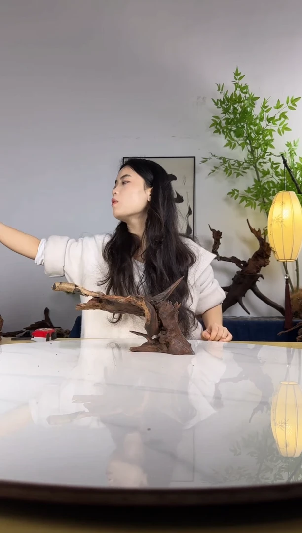 金*丁拍沉木定向链接编号48