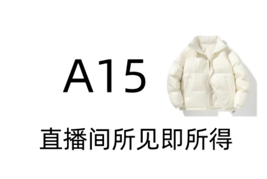 a15潮奢2025新款时尚免洗设计男女同款净色棉服